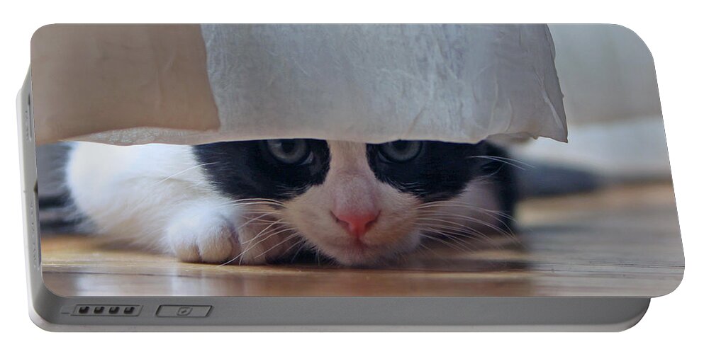 Kitten Portable Battery Charger featuring the photograph Stalking Me by Shoal Hollingsworth