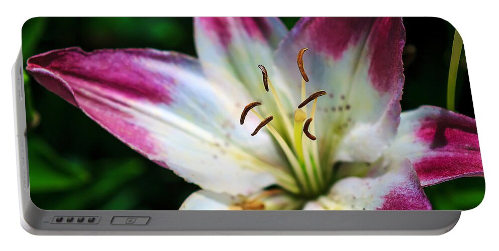 Stamen Portable Battery Charger featuring the photograph Stamens by Sennie Pierson