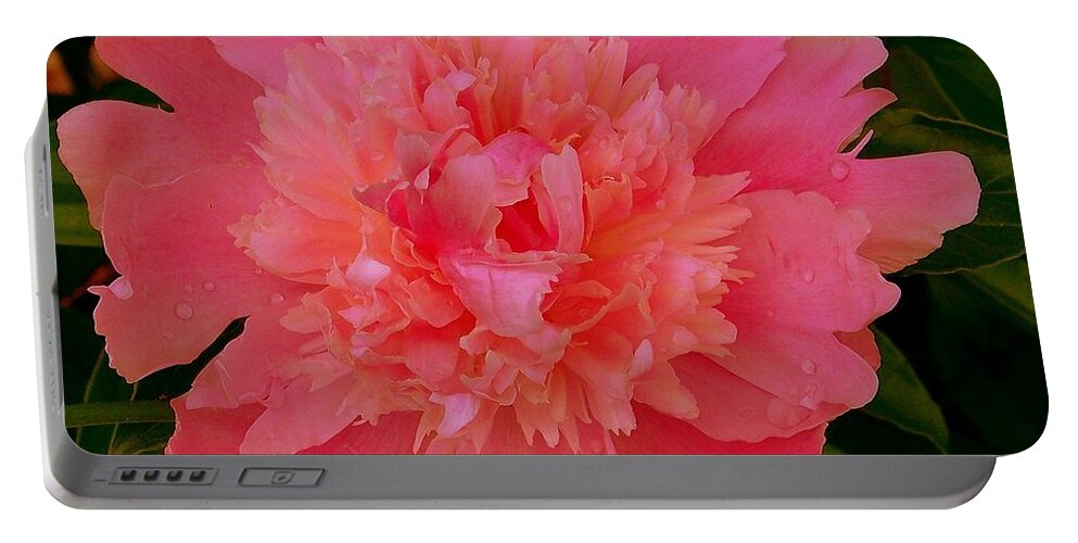 Pink Peony Portable Battery Charger featuring the photograph Standing Guard by Eunice Miller