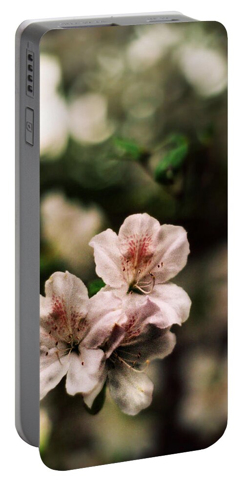 White Portable Battery Charger featuring the photograph Standing Out by Stephanie Hollingsworth