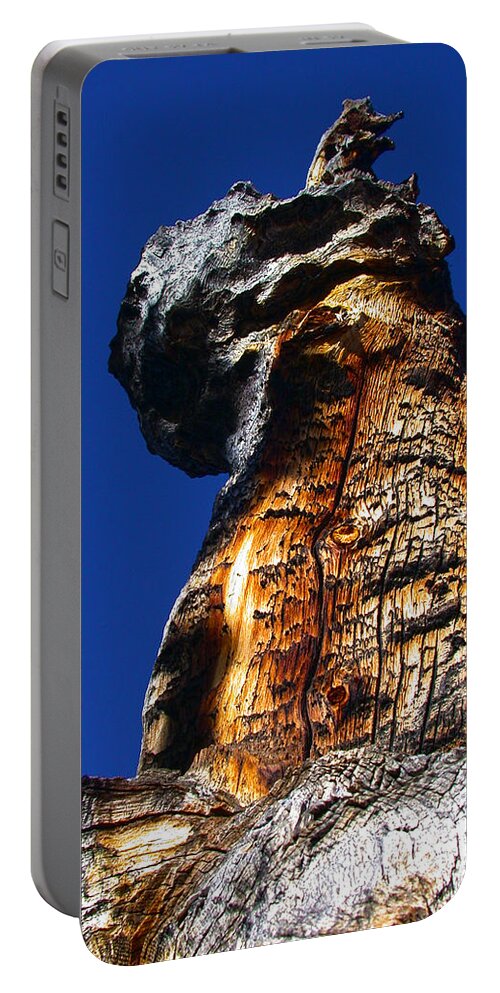 Tall Portable Battery Charger featuring the photograph Standing Tall by Shane Bechler