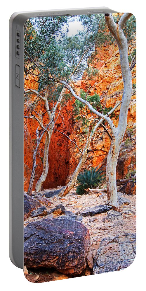 Stanley Chasm Outback Central Australia Landscape Northern Territory Australian West Mcdonnell Ranges Portable Battery Charger featuring the photograph Stanley Chasm by Bill Robinson