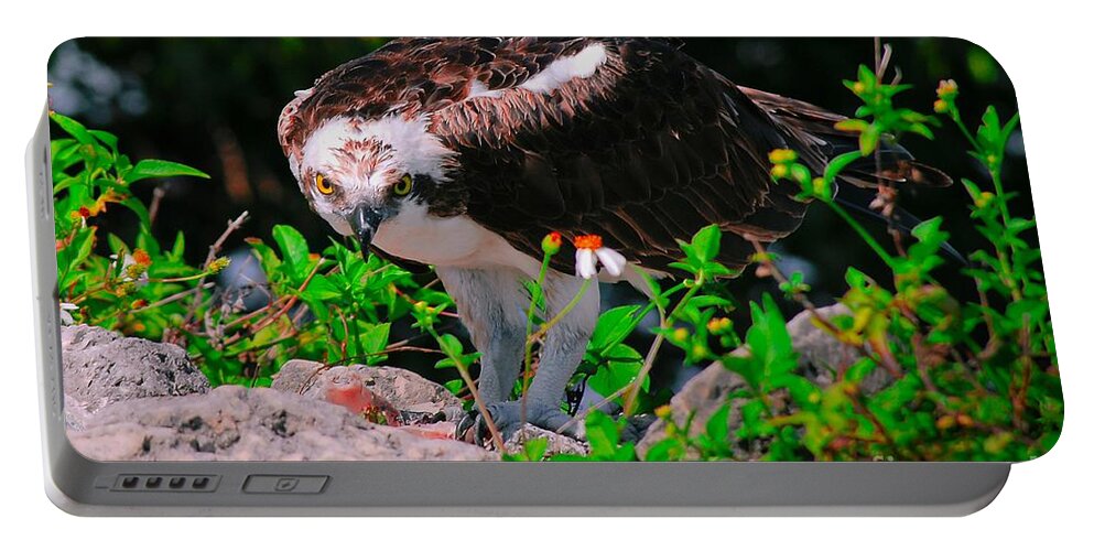 Osprey Portable Battery Charger featuring the photograph Stare into my eyes by Quinn Sedam