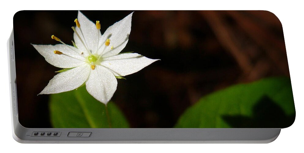 Starflower Portable Battery Charger featuring the photograph Starflower by Christina Rollo
