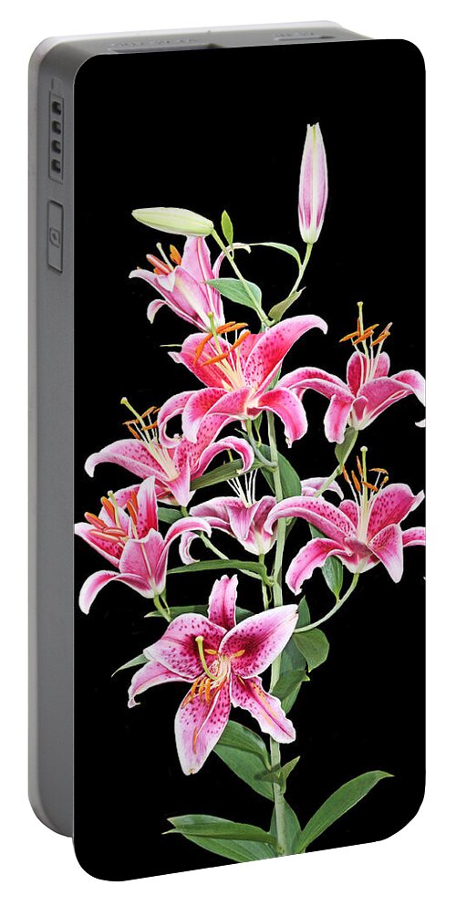 Stargazer Portable Battery Charger featuring the photograph Stargazers by Kristin Elmquist