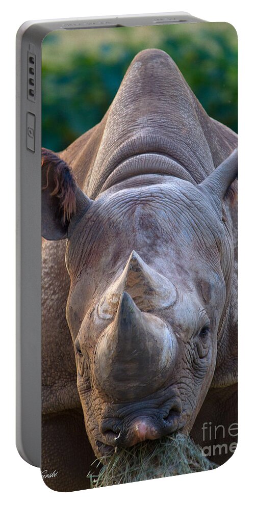 Busch Gardens Portable Battery Charger featuring the photograph Staring Down Rhino by Sue Karski