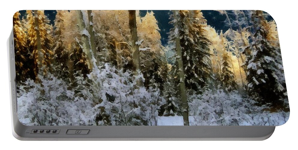 Forest Portable Battery Charger featuring the painting Starshine on a Snowy Wood by RC DeWinter
