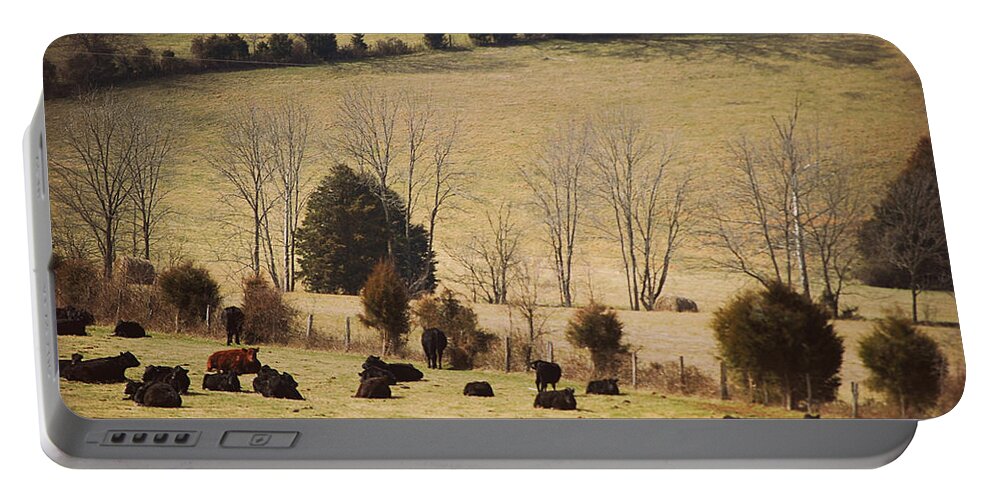 Featured Portable Battery Charger featuring the photograph Steers In Rolling Pastures - Kentucky by Paulette B Wright