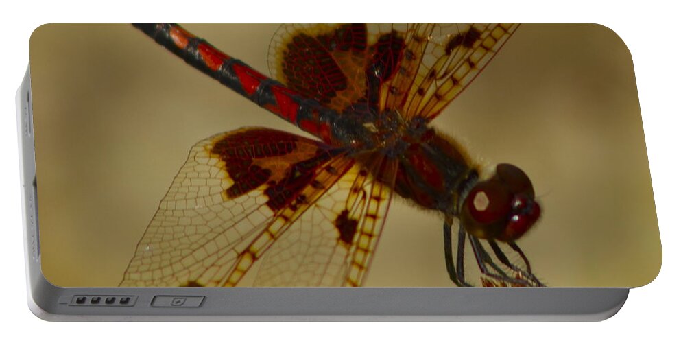 Dragon Fly Portable Battery Charger featuring the photograph Still by Alice Mainville