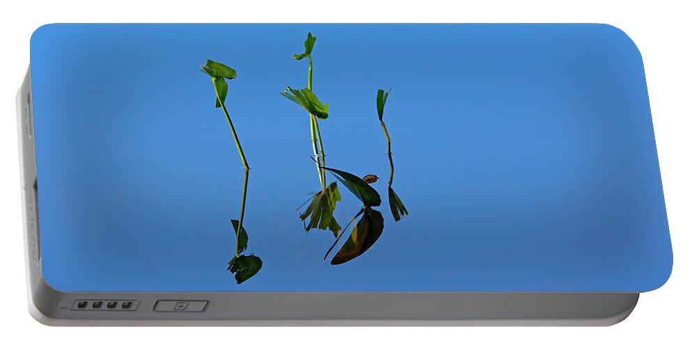 Pond Portable Battery Charger featuring the photograph Still by Karol Livote