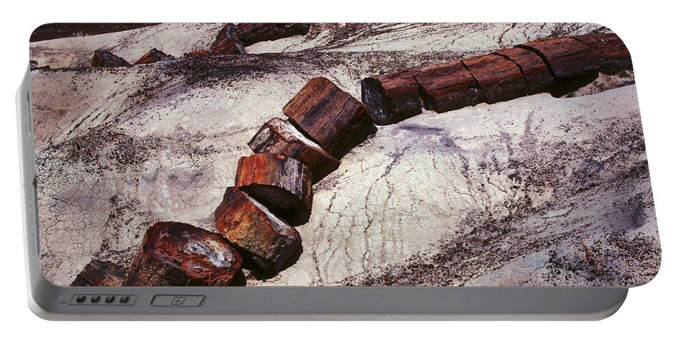 Petrified Forest Portable Battery Charger featuring the photograph Stone Trees - 336 by Paul W Faust - Impressions of Light