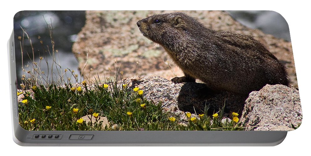 Marmot Portable Battery Charger featuring the photograph Stop and Smell the Flowers by Priscilla Burgers
