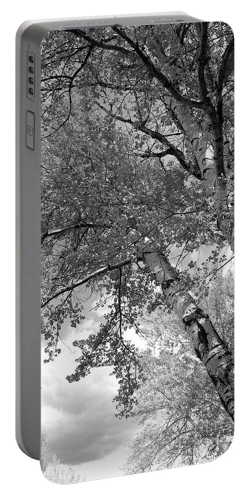 Trees Portable Battery Charger featuring the photograph Storm over the Cottonwood Trees - Black and White by Carol Groenen
