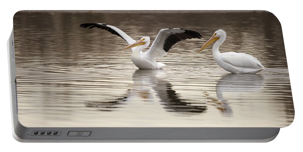 Pelican Portable Battery Charger featuring the photograph Streaching its Wings by Gary Langley