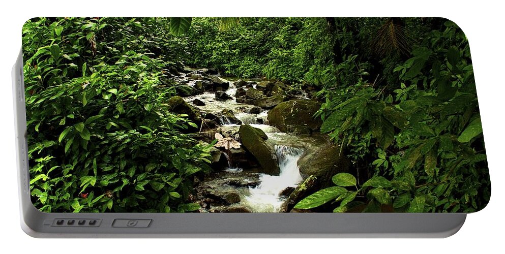 Rain Forest Portable Battery Charger featuring the photograph Streaming by Kathi Isserman