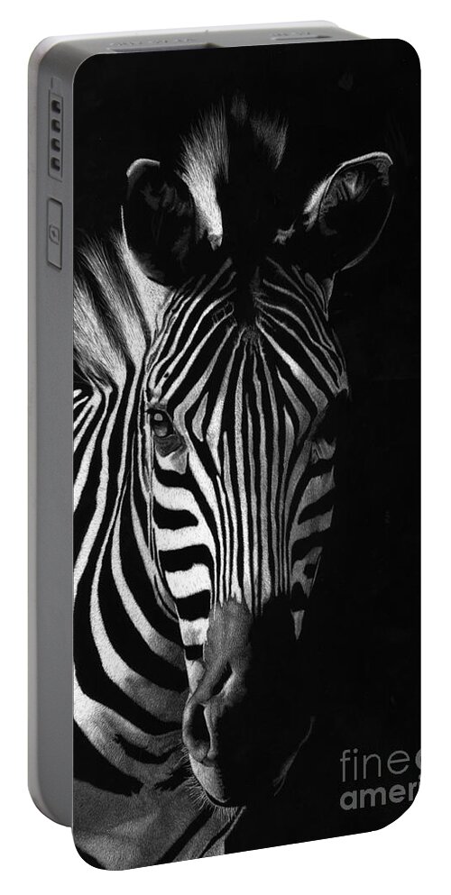 Zebra Portable Battery Charger featuring the drawing Striped Beauty by Sheryl Unwin