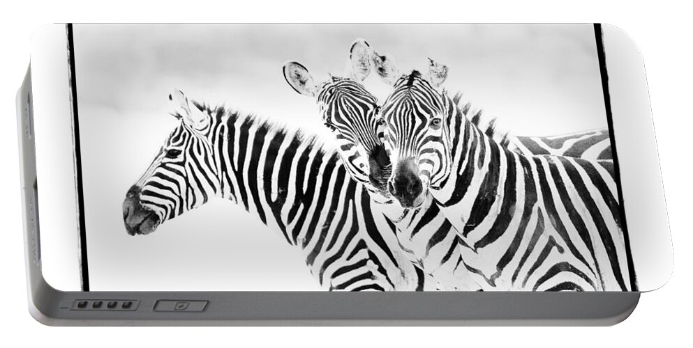 Africa Portable Battery Charger featuring the photograph Striped Threesome by Mike Gaudaur