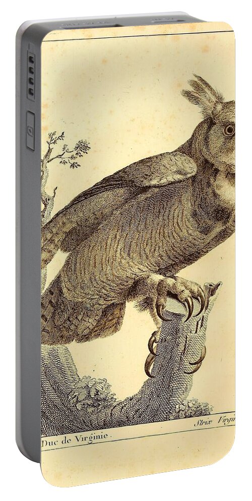 Audubon Portable Battery Charger featuring the painting Strix Virginiana Owl by Philip Ralley
