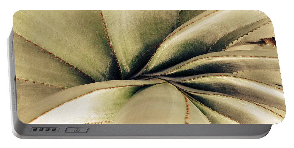 Succulent Portable Battery Charger featuring the photograph Succulent by Jacklyn Duryea Fraizer