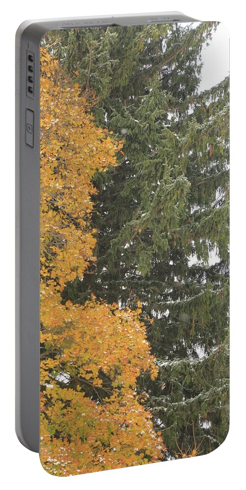 Christmas Tree Portable Battery Charger featuring the photograph Sugar Maple and Evergreen by Valerie Collins