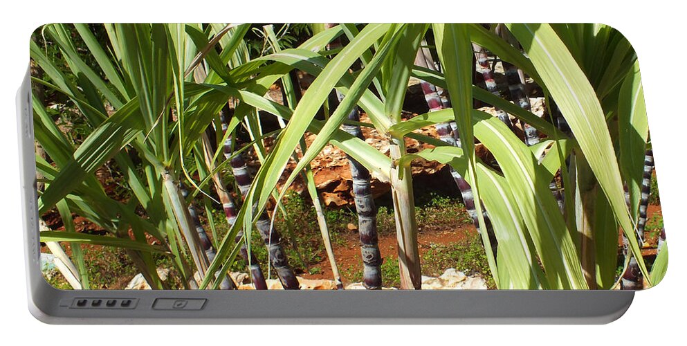 Duane Mccullough Portable Battery Charger featuring the photograph Sugarcane Plants by Duane McCullough