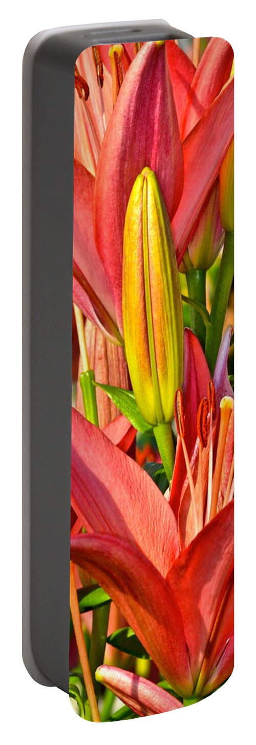 Summer Portable Battery Charger featuring the photograph Summer Bouquet by Frozen in Time Fine Art Photography