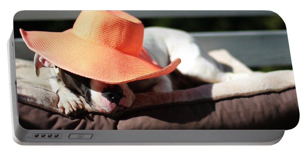 Summer Portable Battery Charger featuring the photograph Summer Siesta by Shelley Neff