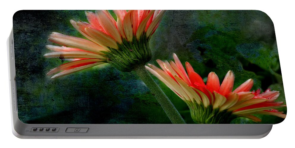 Gerbera Daisy Portable Battery Charger featuring the photograph Summer Visions by Michael Eingle