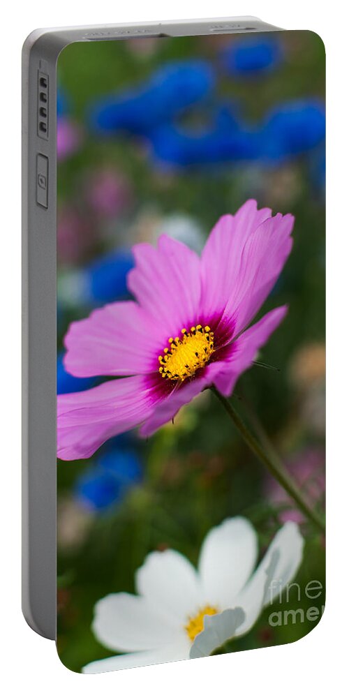 Flowers Portable Battery Charger featuring the photograph Summer Wild Blooms by Matt Malloy