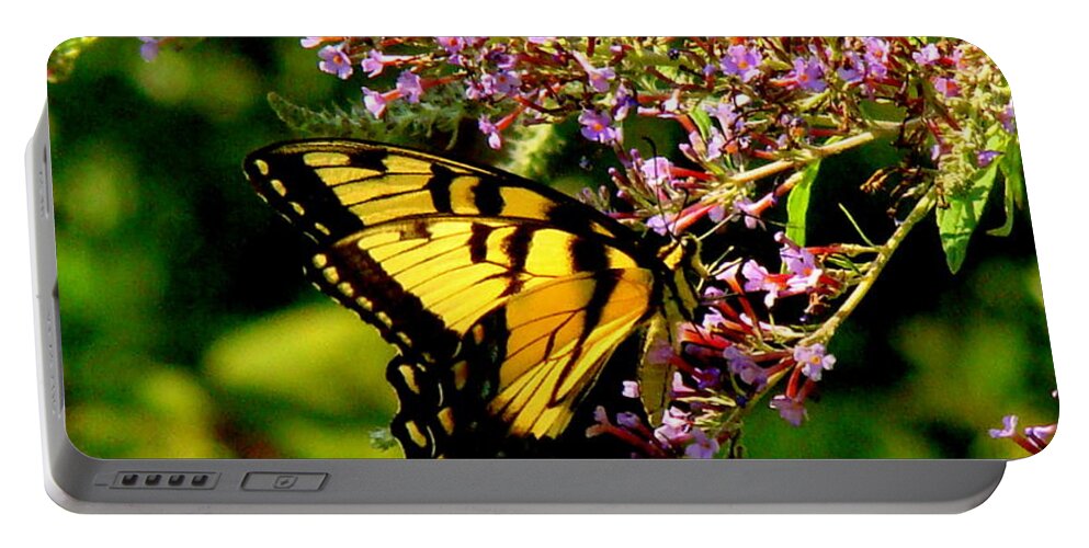 Fine Art Portable Battery Charger featuring the photograph Summers End by Rodney Lee Williams