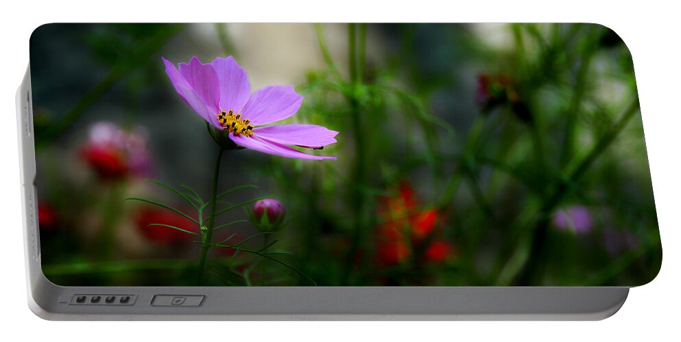 Cosmos Flower Portable Battery Charger featuring the photograph Summers Touch by Michael Eingle