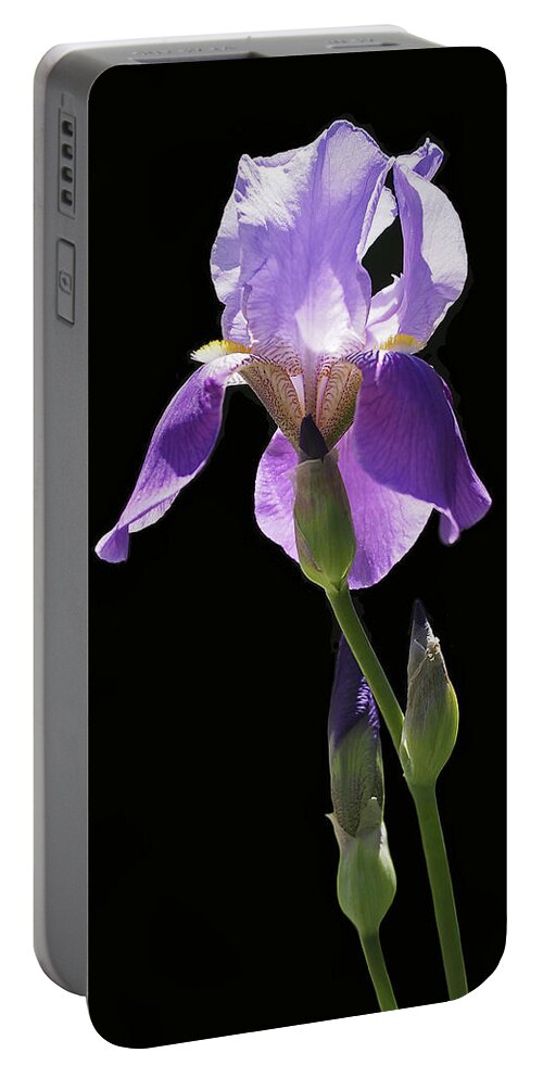 Iris Portable Battery Charger featuring the photograph Sun-drenched Iris by Rona Black