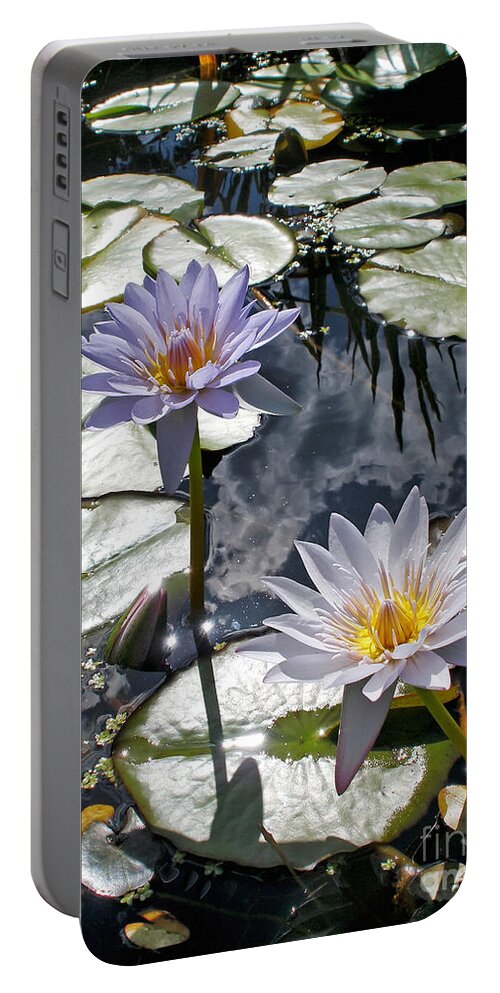 Photography Portable Battery Charger featuring the photograph Sun-drenched Lily Pond     by Kaye Menner
