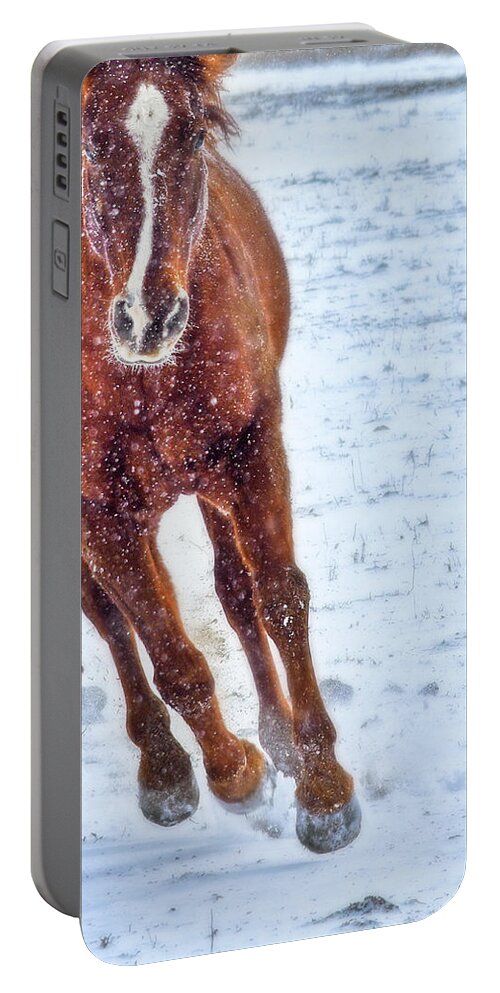 Snow Portable Battery Charger featuring the photograph Sundancing in the Snow by Amanda Smith