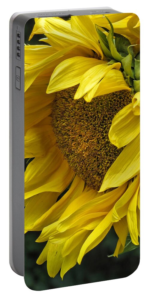 Flower Portable Battery Charger featuring the photograph Sunflower by Ann Bridges