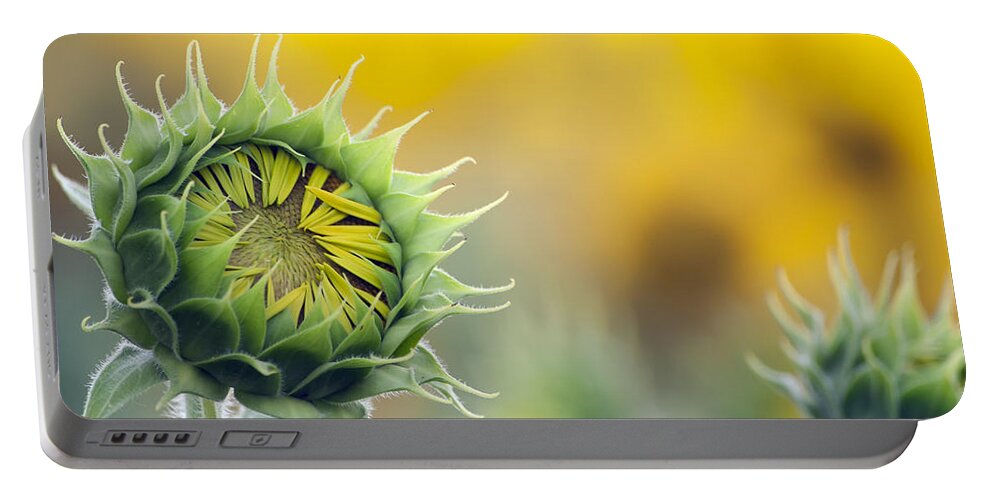 Sunflower Portable Battery Charger featuring the photograph Sunflower Bloom by Debby Richards