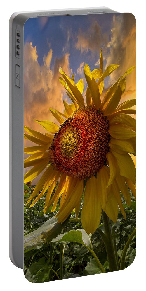 Appalachia Portable Battery Charger featuring the photograph Sunflower Dawn by Debra and Dave Vanderlaan
