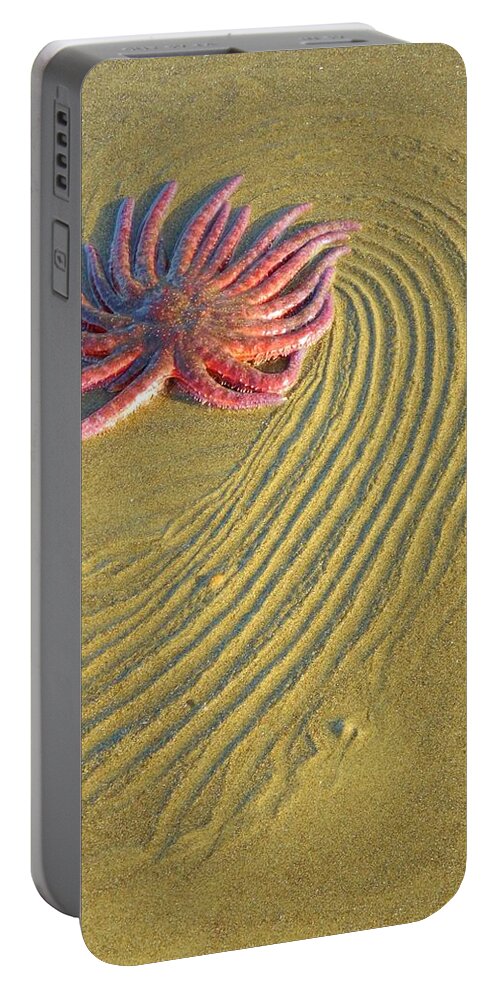 Ocean Portable Battery Charger featuring the photograph Sunflower Starfish by Gallery Of Hope 