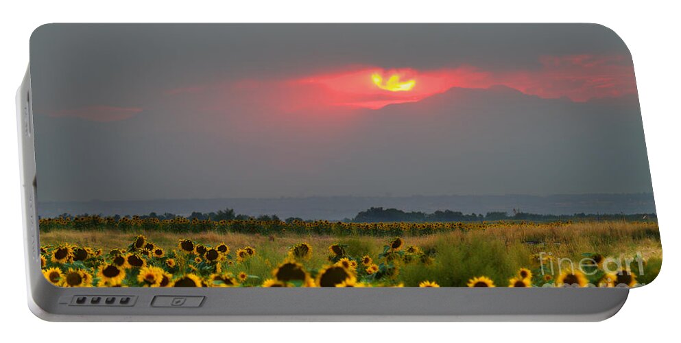 Flowers Portable Battery Charger featuring the photograph Sunflowers in Mordor by Jim Garrison