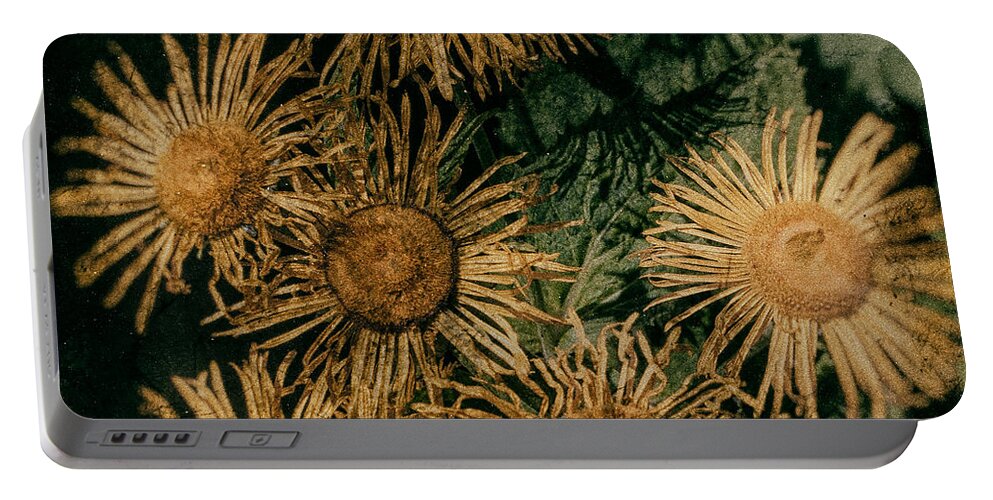 Nostalgia Portable Battery Charger featuring the photograph Sunflowers by Nigel R Bell