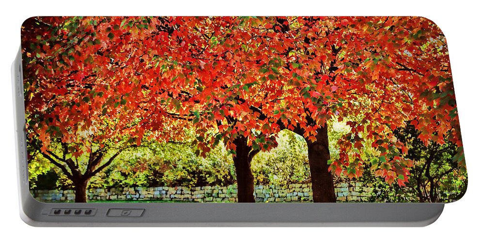 Fall 2014 Portable Battery Charger featuring the photograph Sunlight dances through the leaves by Elizabeth Winter