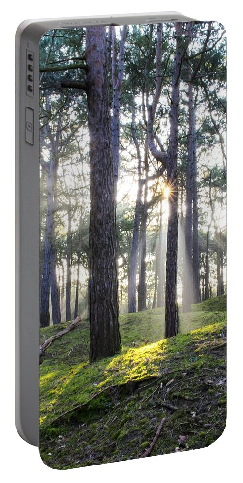 Trees Portable Battery Charger featuring the photograph Sunlit Trees by Spikey Mouse Photography