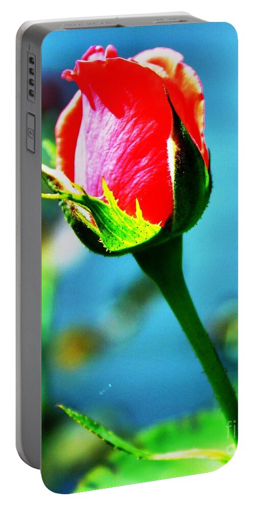 Single Rose Portable Battery Charger featuring the photograph Sunlite Rose Bud by Judy Palkimas