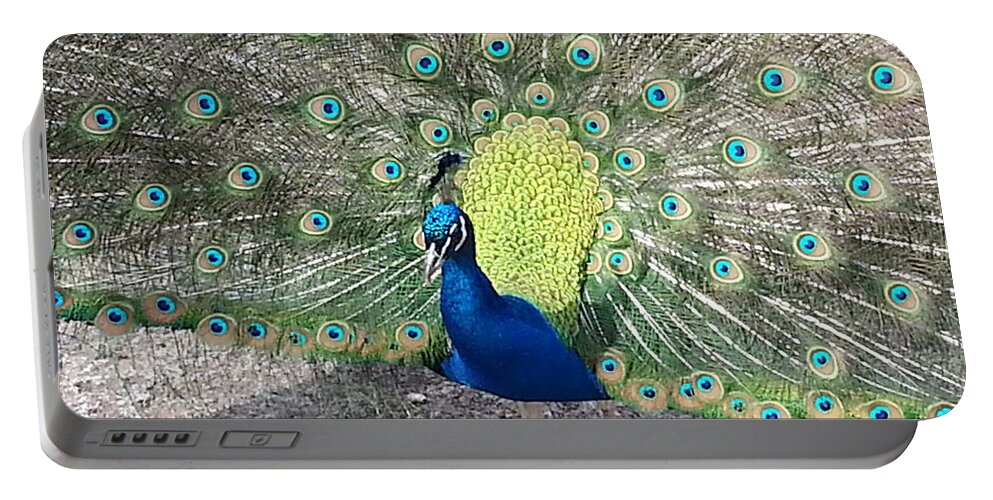 Peacock Portable Battery Charger featuring the photograph Sunny Peancock by Caryl J Bohn