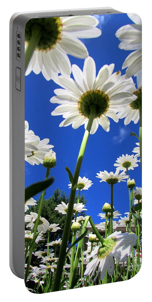 Summer Portable Battery Charger featuring the photograph Sunny Side Up by Pamela Clements