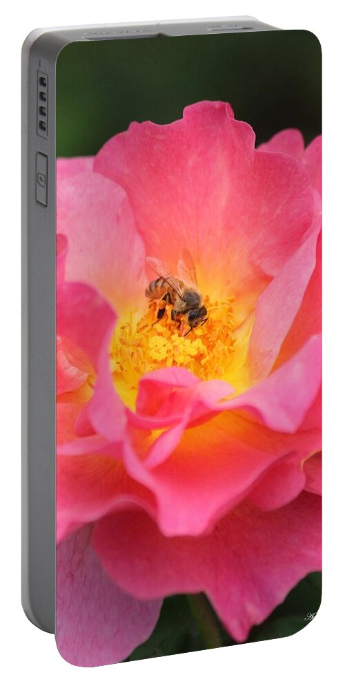Honey Bee Portable Battery Charger featuring the photograph Sunrise by Amy Gallagher