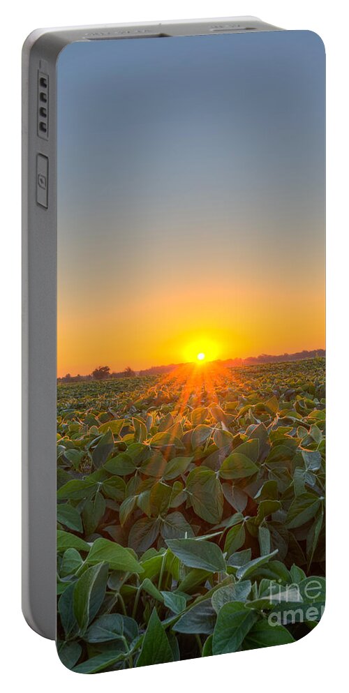 Michael Versprill Portable Battery Charger featuring the photograph Sunrise over a field by Michael Ver Sprill