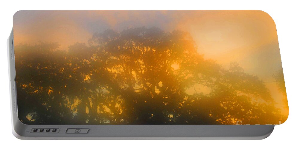Business Portable Battery Charger featuring the photograph Sunset Mocks Sunrise by George D Gordon III
