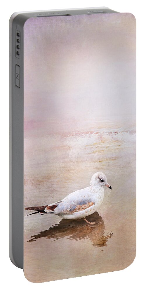 Sunset Portable Battery Charger featuring the photograph Sunset With Young Seagull by Theresa Tahara