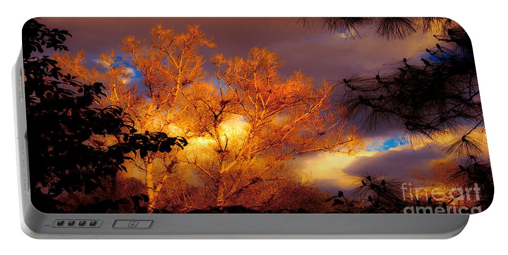 Sunshine On The Tree Tops After A Rain Storm Nature Fine Art Photography Print Portable Battery Charger featuring the photograph Sunshine On The Tree Tops After A Rain Storm by Jerry Cowart